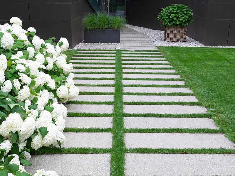 Contact Land Escape Maintenance